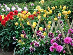 Jardim Botânico Nacional