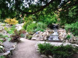 Jardim Botânico de Dublin