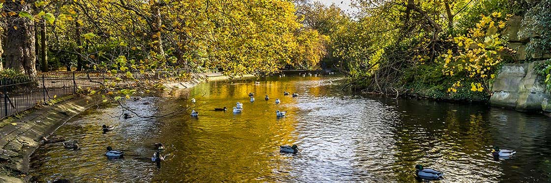 St Stephens Green